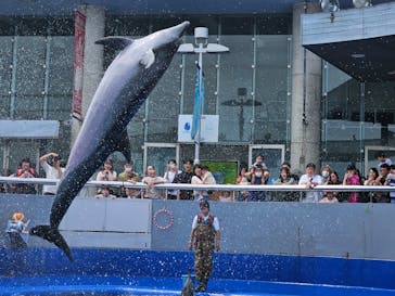 大分マリーンパレス水族館 「うみたまご」に投稿された画像（2024/6/18）