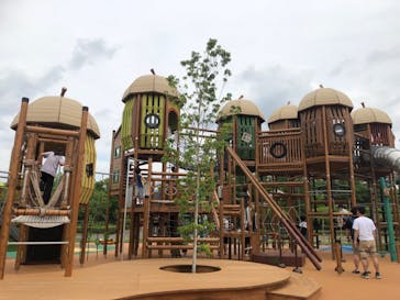 モビリティリゾートもてぎに投稿された画像（2024/6/18）