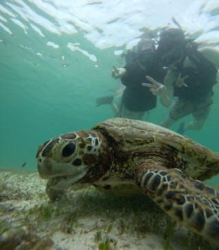 オースリーシュノーケル宮古島に投稿された画像（2024/6/18）