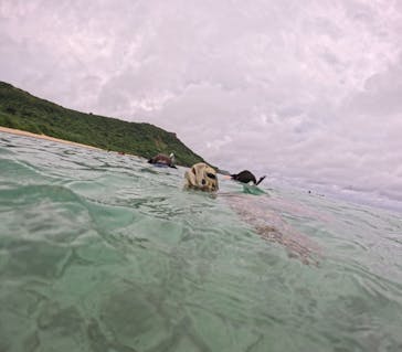 オースリーシュノーケル宮古島に投稿された画像（2024/6/18）