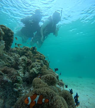 オースリーシュノーケル宮古島に投稿された画像（2024/6/18）