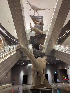 福井県立恐竜博物館に投稿された画像（2024/6/18）