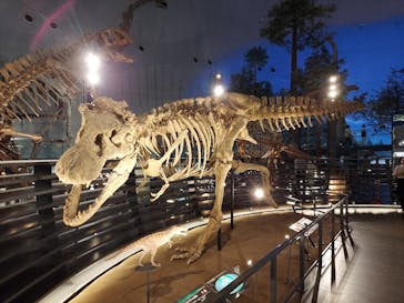 福井県立恐竜博物館に投稿された画像（2024/6/18）