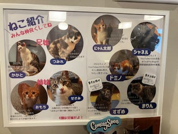 おさるランド＆アニタウン　日光さる軍団劇場に投稿された画像（2024/6/18）