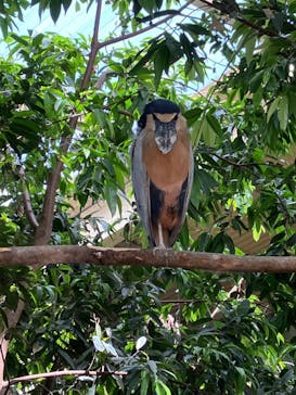 那須どうぶつ王国に投稿された画像（2024/6/18）