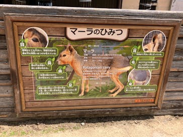 那須どうぶつ王国に投稿された画像（2024/6/18）