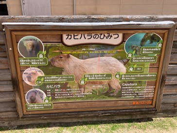 那須どうぶつ王国に投稿された画像（2024/6/18）