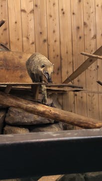 伊豆シャボテン動物公園に投稿された画像（2024/6/18）