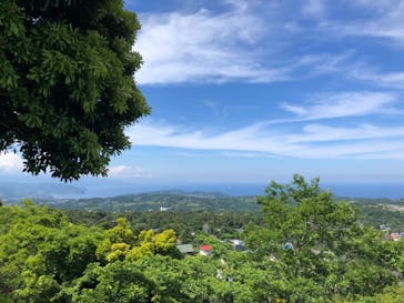 伊豆シャボテン動物公園に投稿された画像（2024/6/18）