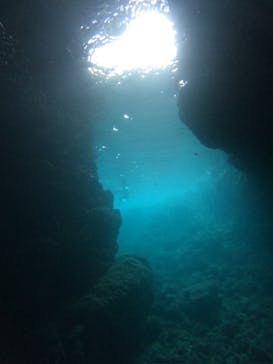 沖縄マリンサービス碧に投稿された画像（2024/6/19）