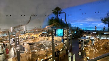 福井県立恐竜博物館に投稿された画像（2024/6/19）