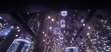 マクセル アクアパーク品川に投稿された画像（2024/6/19）