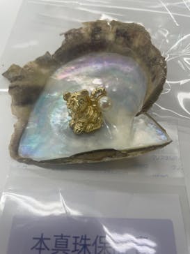 三重県真珠に投稿された画像（2024/6/19）