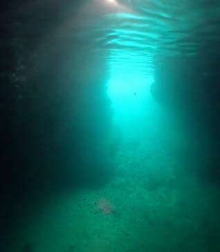 MalDive（モルダイブ）に投稿された画像（2024/6/19）