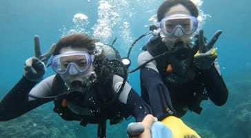 武藤潜水に投稿された画像（2024/6/19）