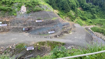 福井県立恐竜博物館に投稿された画像（2024/6/19）