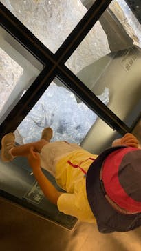 福井県立恐竜博物館に投稿された画像（2024/6/19）