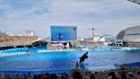 名古屋港水族館に投稿された画像（2024/6/19）