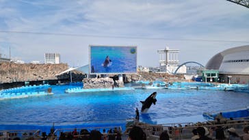 名古屋港水族館に投稿された画像（2024/6/19）