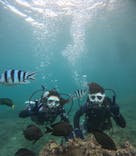 沖縄マリンサービス碧に投稿された画像（2024/6/19）