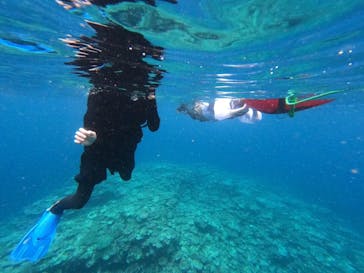 石垣島 ADVENTURE PiPi（イシガキジマアドベンチャーピピ）に投稿された画像（2024/6/19）