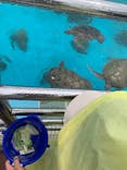 沖縄美ら海水族館に投稿された画像（2024/6/19）