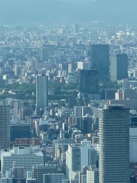 ハルカス300(展望台)に投稿された画像（2024/6/19）