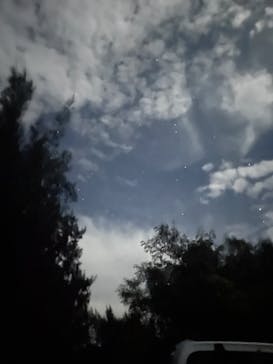 西表島 ADVENTURE PiPi（アドベンチャーピピ）に投稿された画像（2024/6/19）