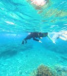 西表島 ADVENTURE PiPi（アドベンチャーピピ）に投稿された画像（2024/6/19）