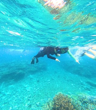 西表島 ADVENTURE PiPi（アドベンチャーピピ）に投稿された画像（2024/6/19）