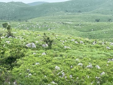 秋芳洞に投稿された画像（2024/6/19）