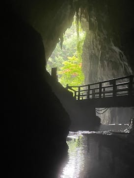 秋芳洞に投稿された画像（2024/6/19）