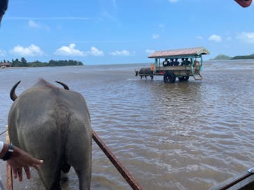 西表島 ADVENTURE PiPi（アドベンチャーピピ）に投稿された画像（2024/6/19）