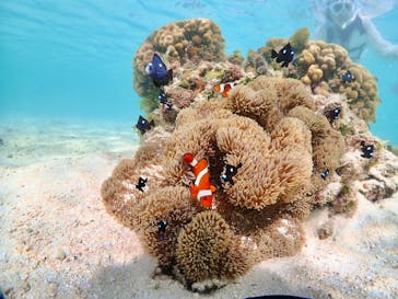 ちゃこたびに投稿された画像（2024/6/19）