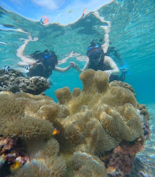 宮古島 ADVENTURE PiPi（ミヤコジマ アドベンチャー ピピ）に投稿された画像（2024/6/19）