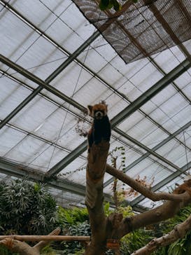 神戸どうぶつ王国に投稿された画像（2024/6/19）