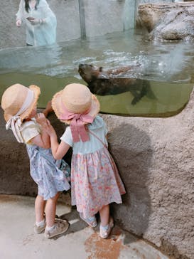 神戸どうぶつ王国に投稿された画像（2024/6/19）