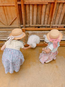 神戸どうぶつ王国に投稿された画像（2024/6/19）