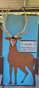 那須サファリパークに投稿された画像（2024/6/19）