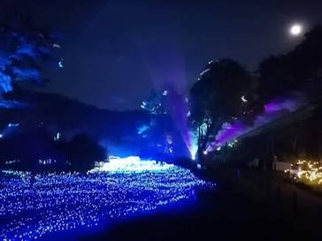 KYOTO ILLUMINATION SYNESTHESIA HILLS るり渓温泉に投稿された画像（2024/6/19）