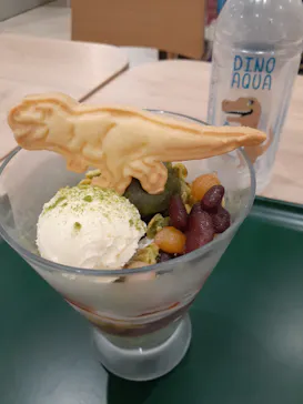 福井県立恐竜博物館に投稿された画像（2024/6/19）