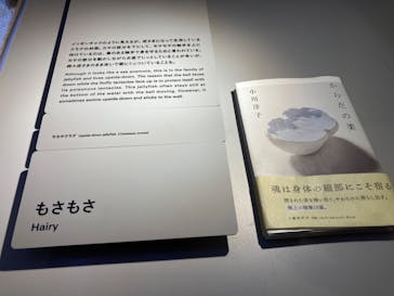 AOAO SAPPOROに投稿された画像（2024/6/19）