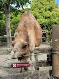 よこはま動物園ズーラシアに投稿された画像（2024/6/20）
