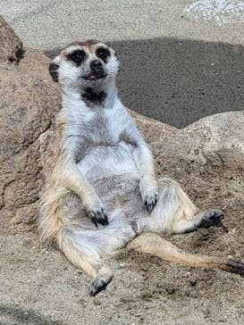 よこはま動物園ズーラシアに投稿された画像（2024/6/19）