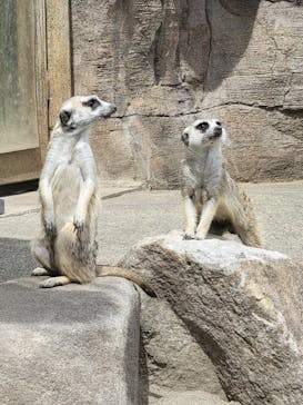よこはま動物園ズーラシアに投稿された画像（2024/6/19）
