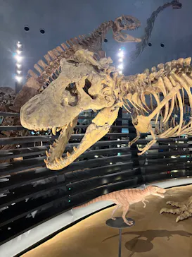福井県立恐竜博物館に投稿された画像（2024/6/20）