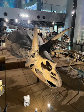 福井県立恐竜博物館に投稿された画像（2024/6/20）