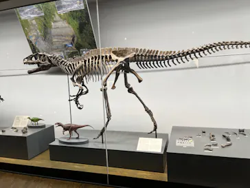 福井県立恐竜博物館に投稿された画像（2024/6/20）