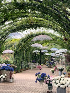 横浜イングリッシュガーデンに投稿された画像（2024/6/20）