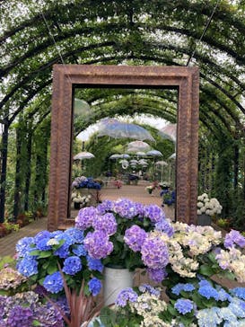 横浜イングリッシュガーデンに投稿された画像（2024/6/20）